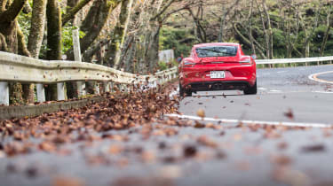 Porsche Cayman GTS Japan - rear