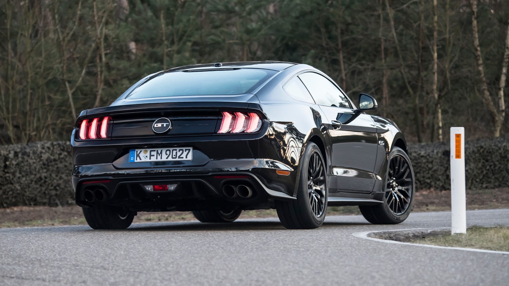 Ford mustang 10