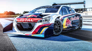 Peugeot 208 T16 livery revealed