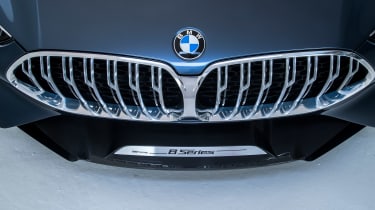 BMW 8-series concept - grille