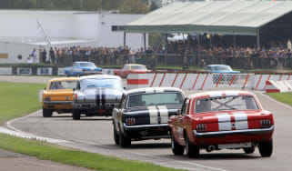 Goodwood Shelby cup