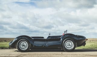 Lister Knobbly - recreation profile