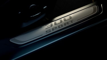 Jaguar 300 Sport models – sill