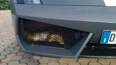 Lamborghini Gallardo Balboni grille