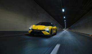 Lotus Emeya