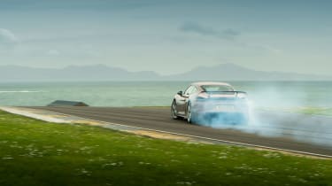 Porsche 718 GT4 – rear action