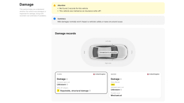 Damage records in the carVertical report